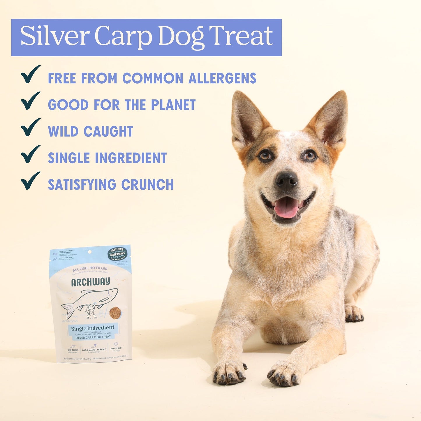 Silver Carp For Dogs