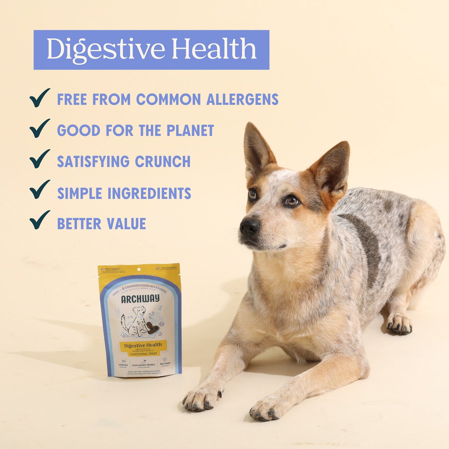 Digestive Health