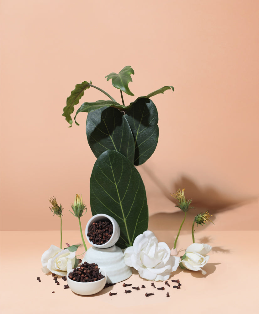 island gardenia & spiced ylang™ natural fragrance oil