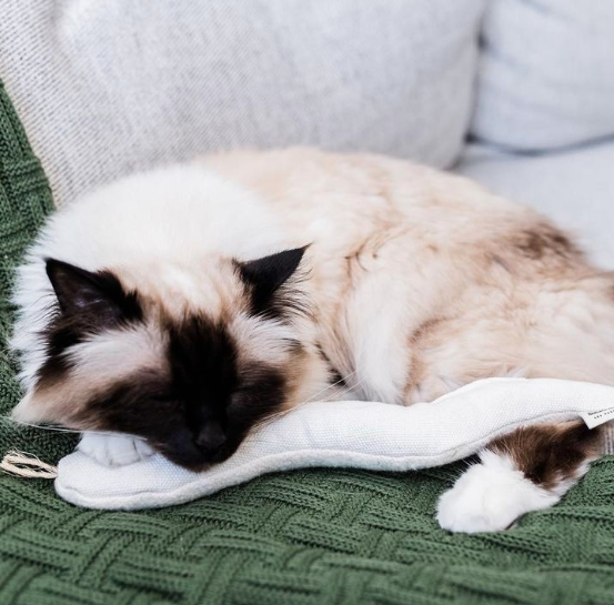 Snake Toy for Cats in Cotton with Buckwheat Crinkles and Organic Catnip