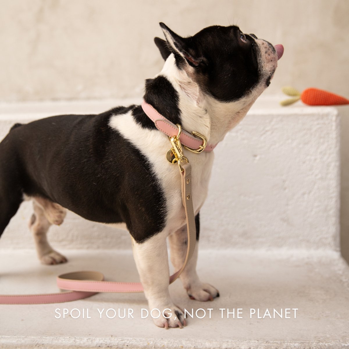 Leash 4ft - Vegan Leather - Cupertino