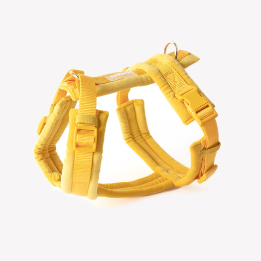 Yellow - Velvet Dog Harness