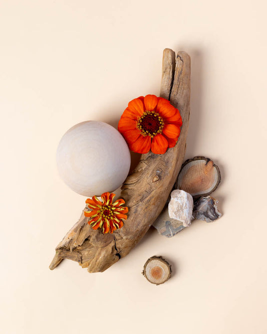 creamy woods & sweet musk™ fragrance oil