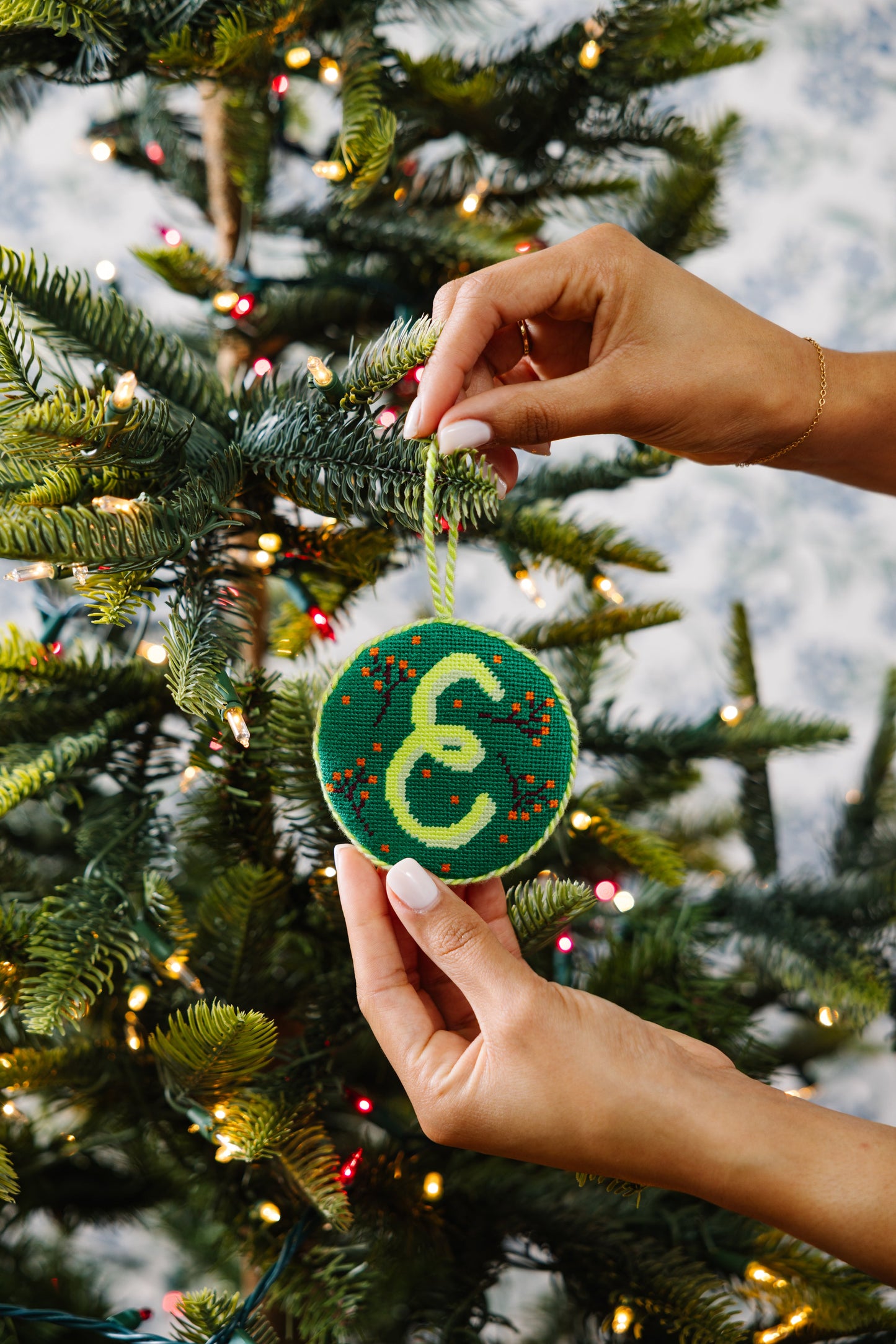 Needlepoint Monogram Ornament - E