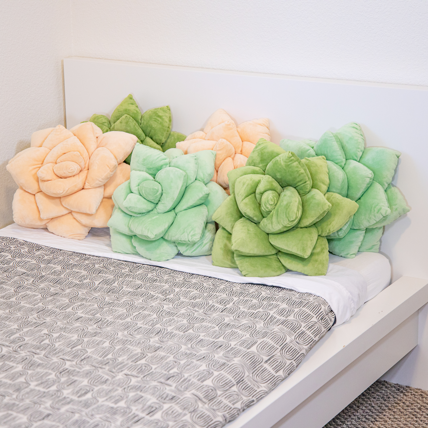 Lil' Pop Succulent® - Blush Peach