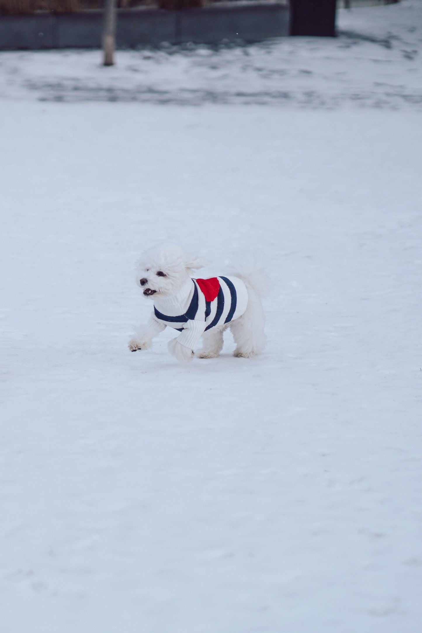 Sailor of My Heart Striped Turtleneck Sweater