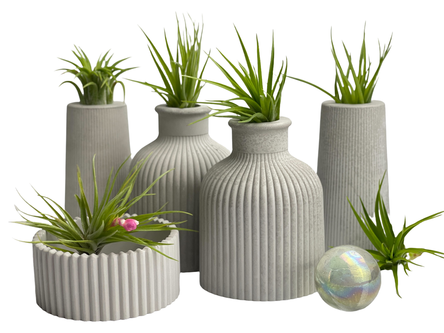 FAT MINI VASE | AIR PLANT HOLDER