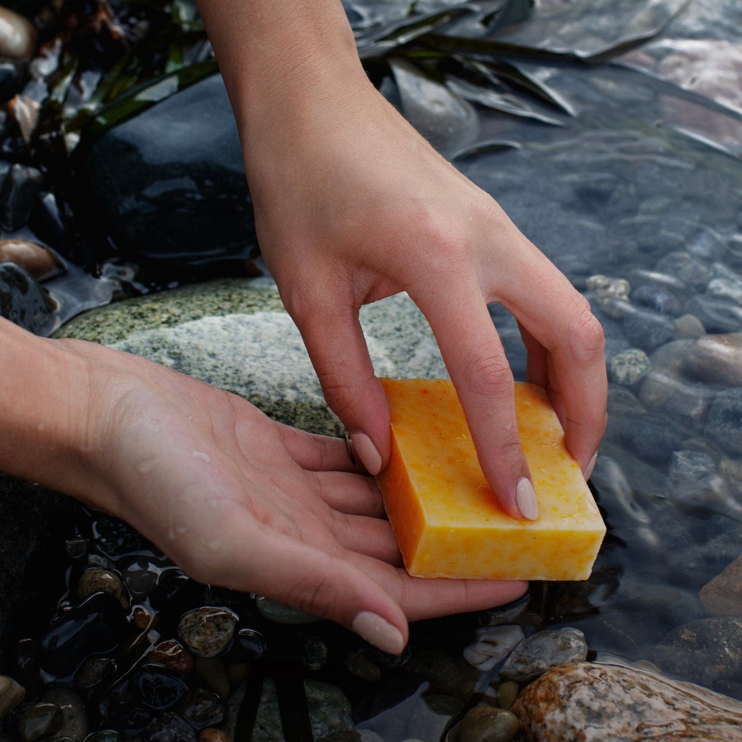 Pumpkin & Wild Carrot Complexion Soap