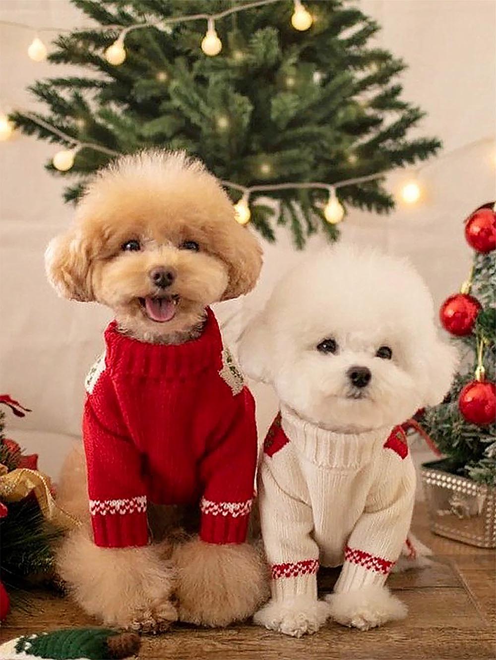 Red Christmas Pet Sweater