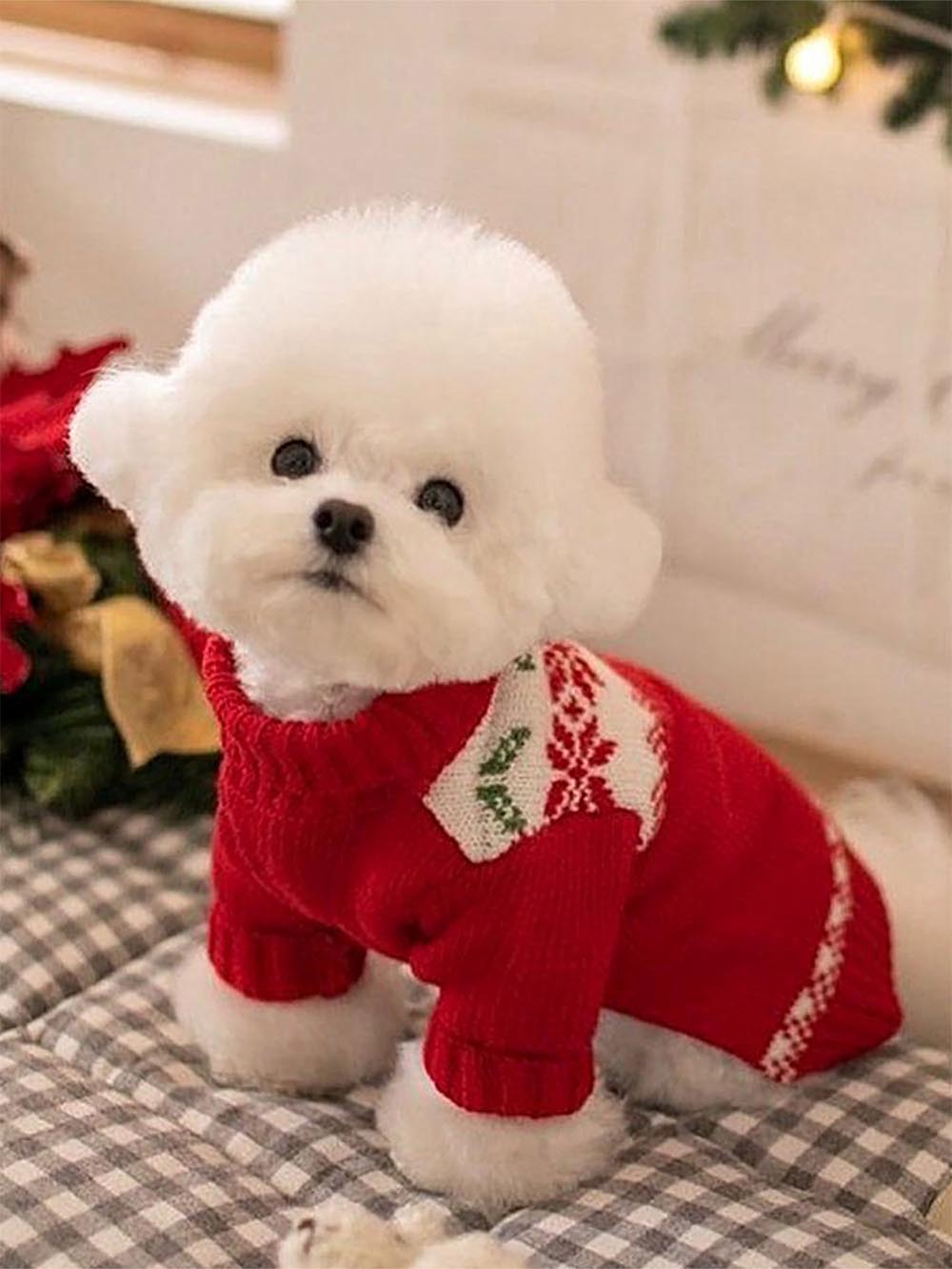 Red Christmas Pet Sweater