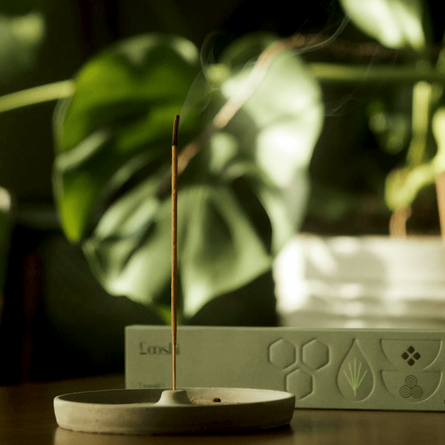 Rewild Incense Sticks