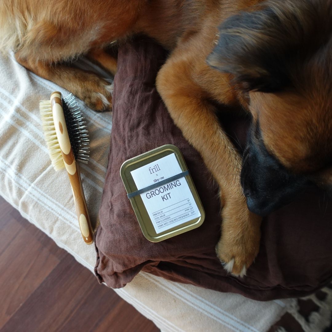 Two-Sided Pet Brush – Bristle & Wire for Shedding & Detangling