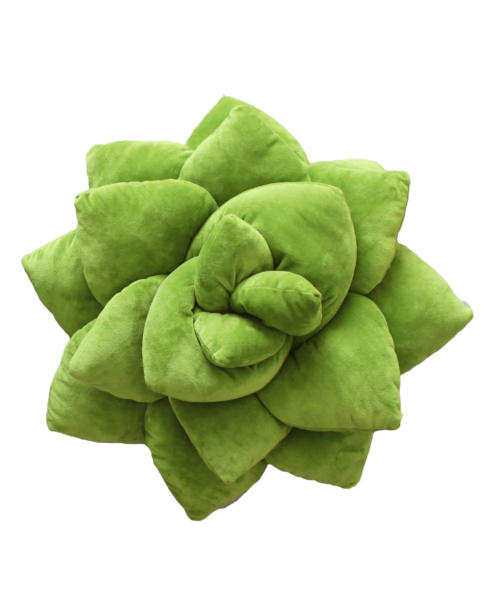 Big Pop Succulent® - Olive Green