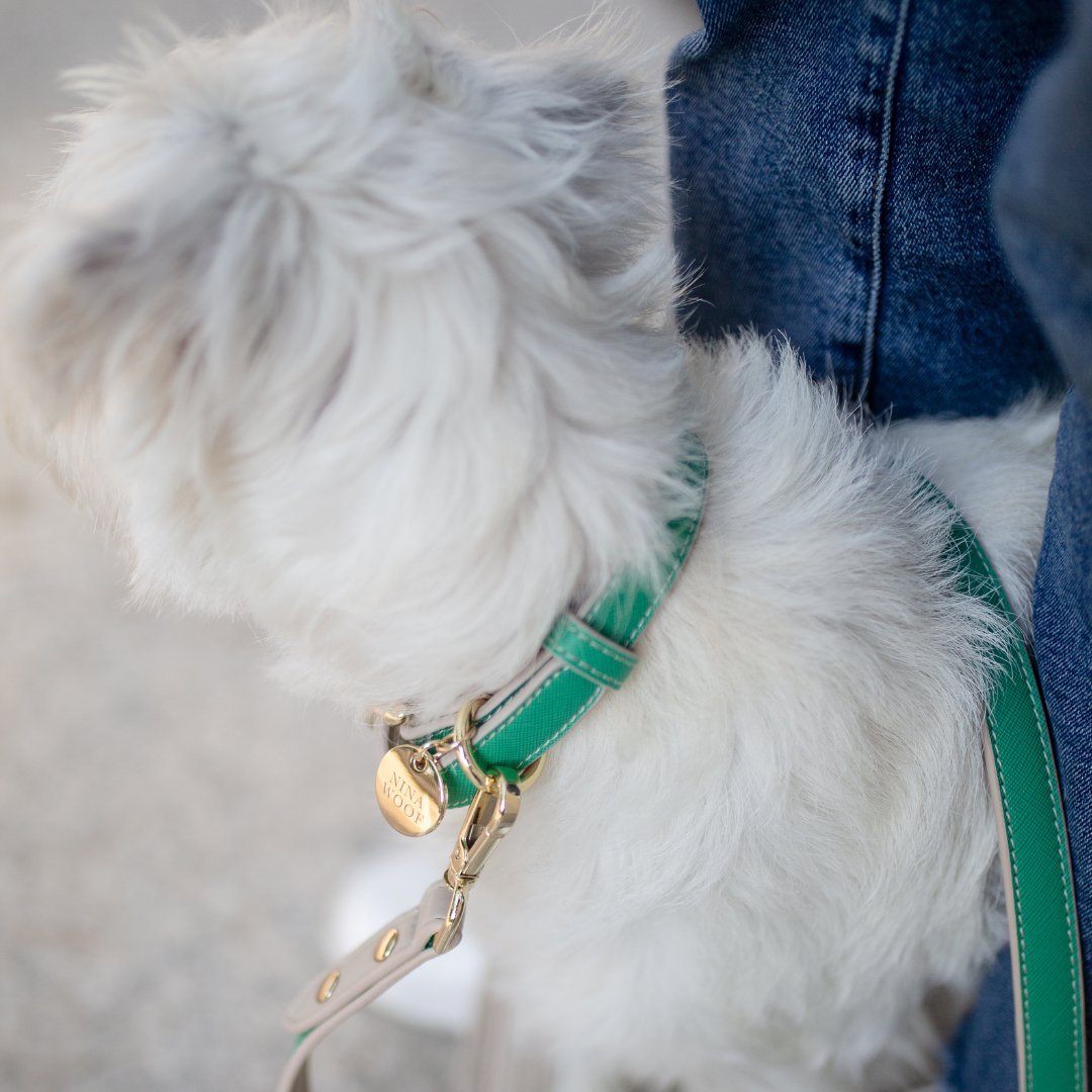 Collar - Vegan Leather