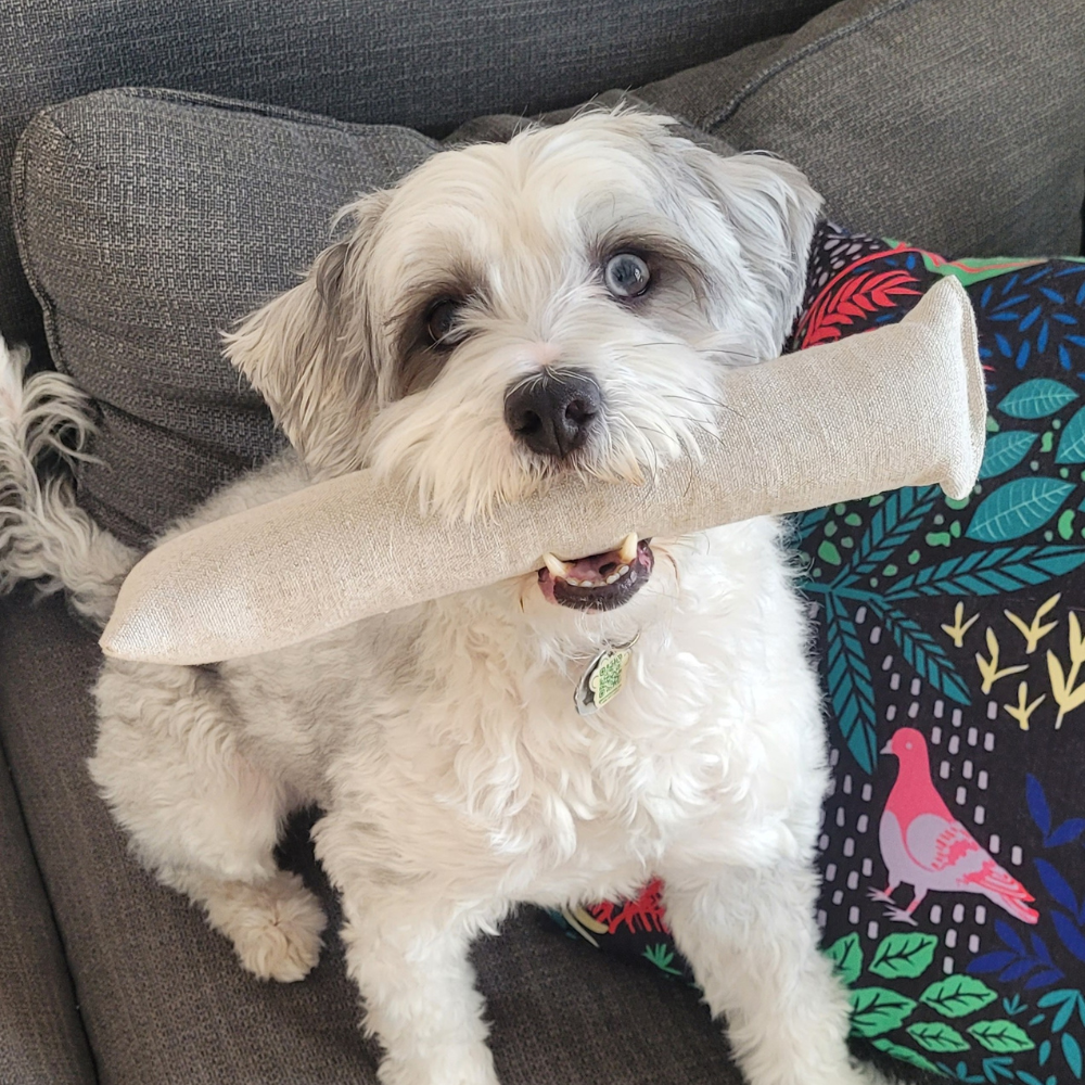 Cat Kicker Toy for Bunny Kicks  - DOGS love it too!