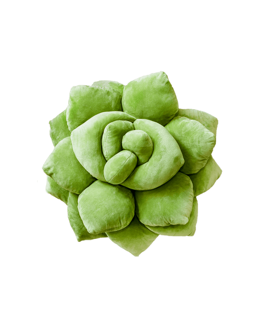 Lil' Pop Succulent®  - Olive Green