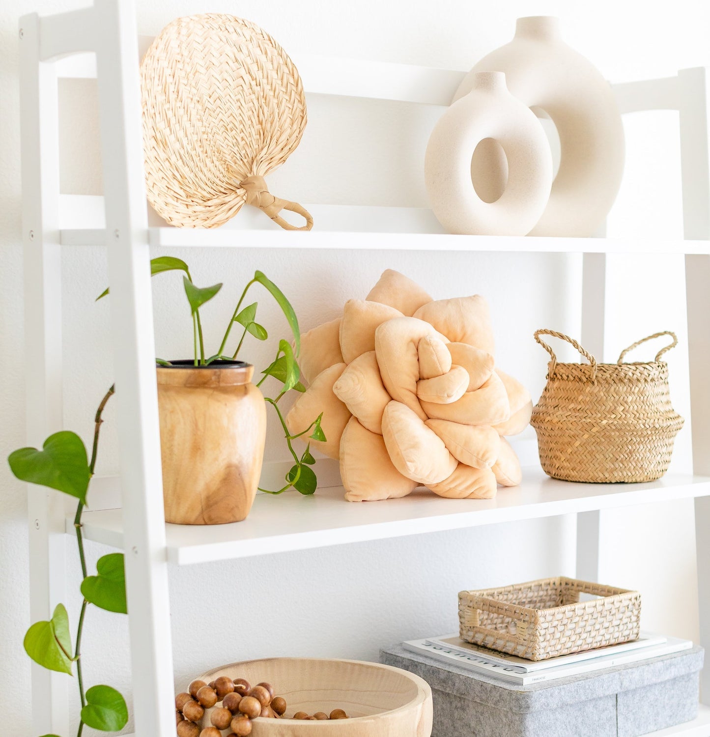 Lil' Pop Succulent® - Blush Peach