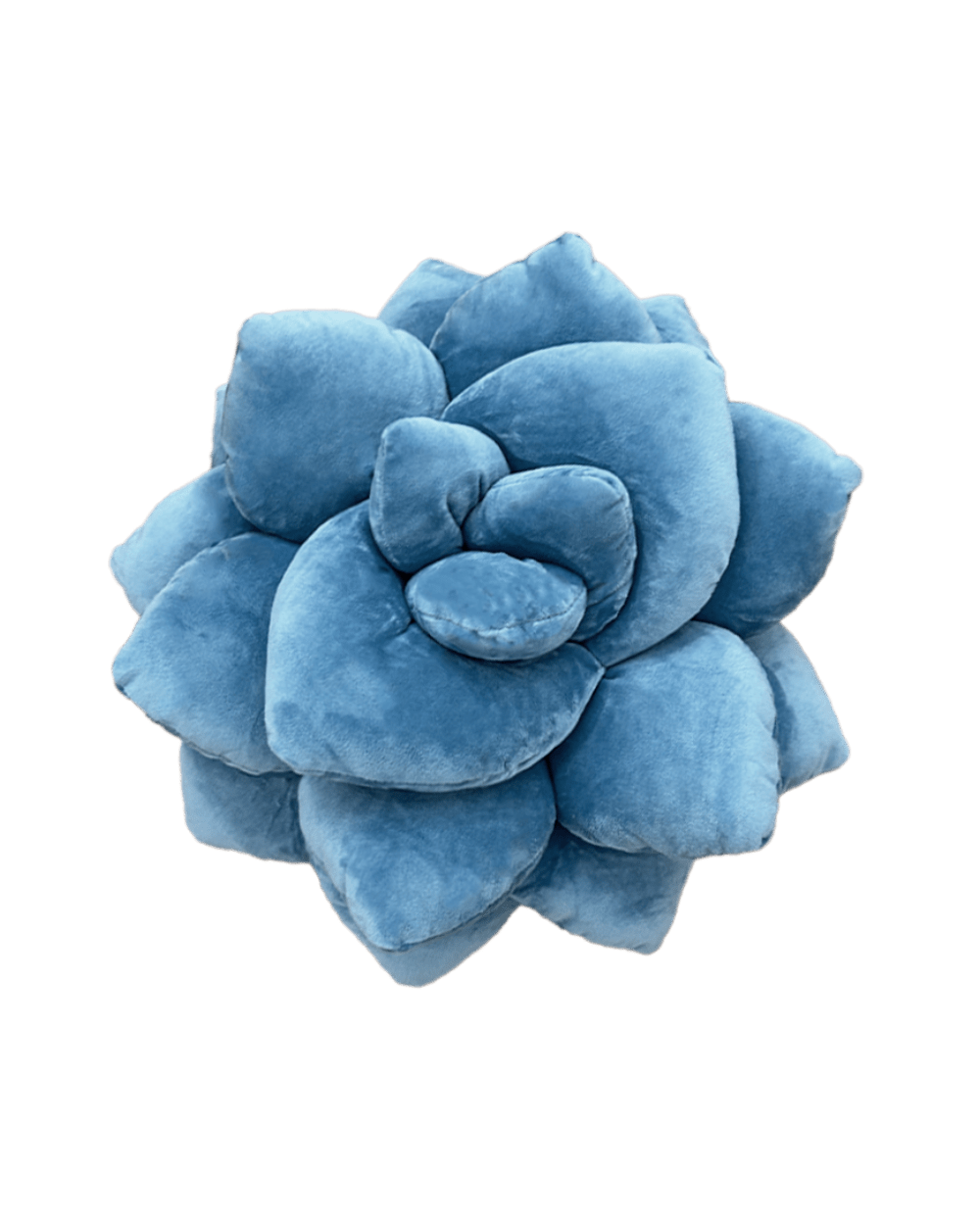 Lil' Pop Succulent® - Smokey Blue