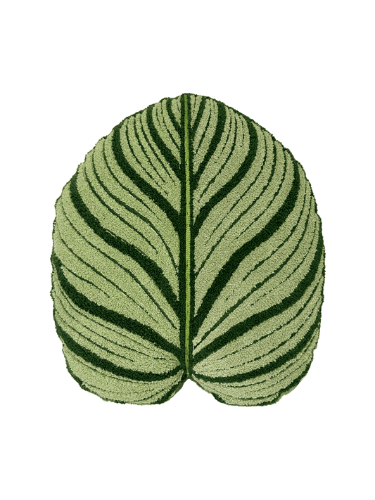 Tufted Calathea Orbifolia Leaf Pillow